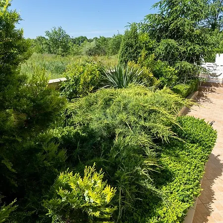 Luxor 3* Lozenec
